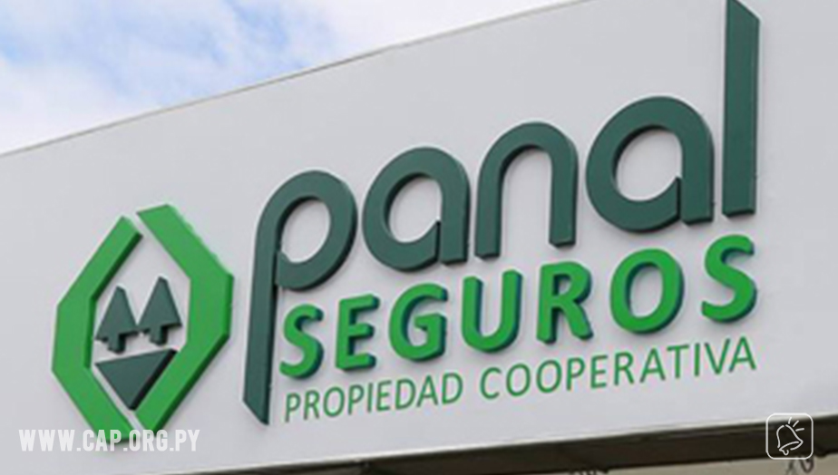 Panal Seguros dio a conocer sus nuevos planes comerciales