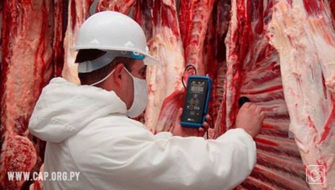 El mercado de Emiratos Árabes Unidos confirmó la apertura a la carne paraguaya