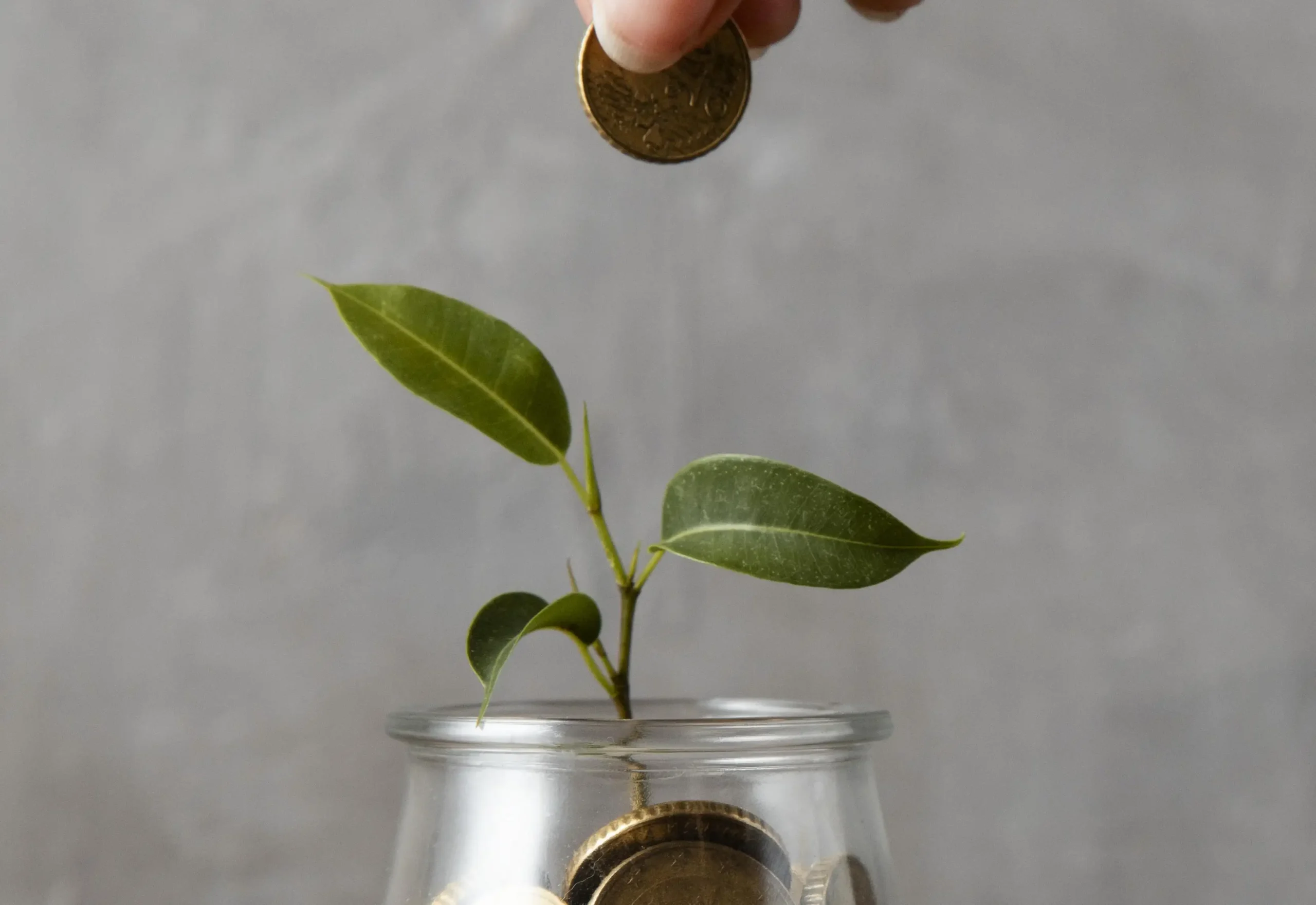 Inflación moderada y cambio estable para el 2026